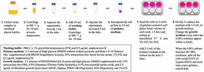 Application of Urine-Derived Stem Cells to Cellular Modeling in Neuromuscular and Neurodegenerative Diseases